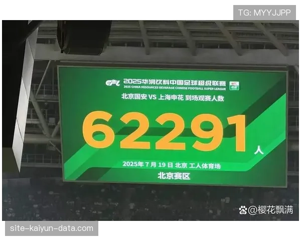 国安赢数据输场面，体系漏洞显现影响扩大