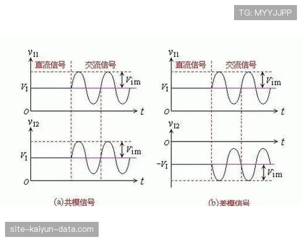 篮球比赛中的球权交替规则详解：一文读懂如何判定与执行